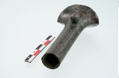 Foto von Bronzeortband (NHMW-PRAE-025481)